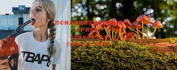 прущие крисы Нефтегорск