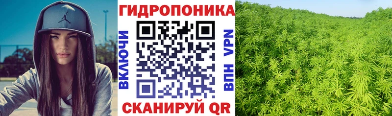 Бошки марихуана ГИДРОПОН  Венёв 
